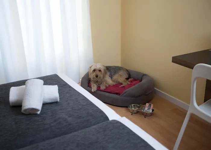 Casual Del Cine 酒店 瓦伦西亚